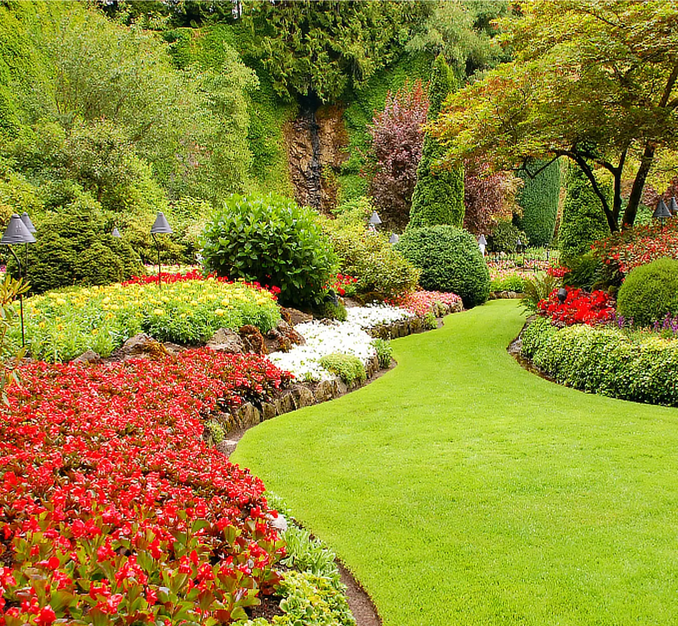 Jardim cuidado pela BG Jardinagem